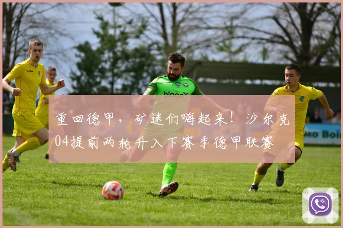 重回德甲，矿迷们嗨起来！沙尔克04提前两轮升入下赛季德甲联赛